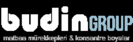 Budin Group