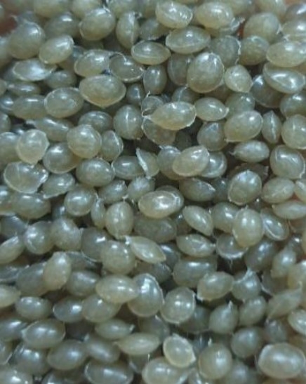 LDPE Honeycomb Color